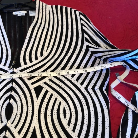 ALEXANDRA ROSATI - L Sz 14 black sheer/white ribbon zip top. GREAT CONDITION! - Picture 12 of 14